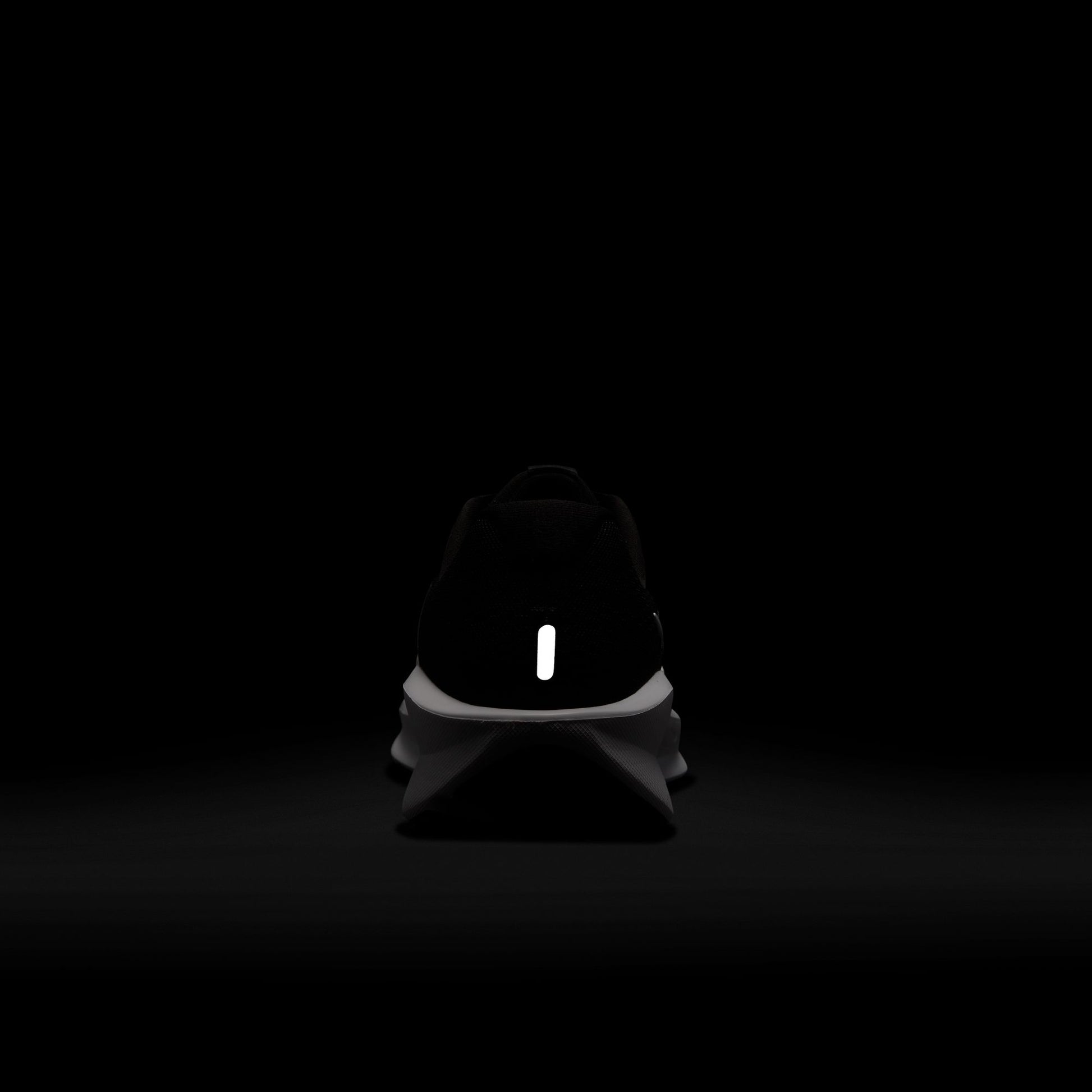 NIKE DOWNSHIFTER 13 10 / FD6454-800