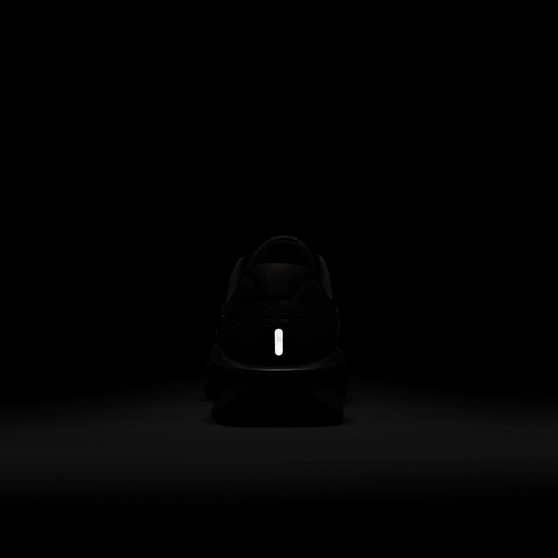 NIKE DOWNSHIFTER 13 10 / FD6454-800