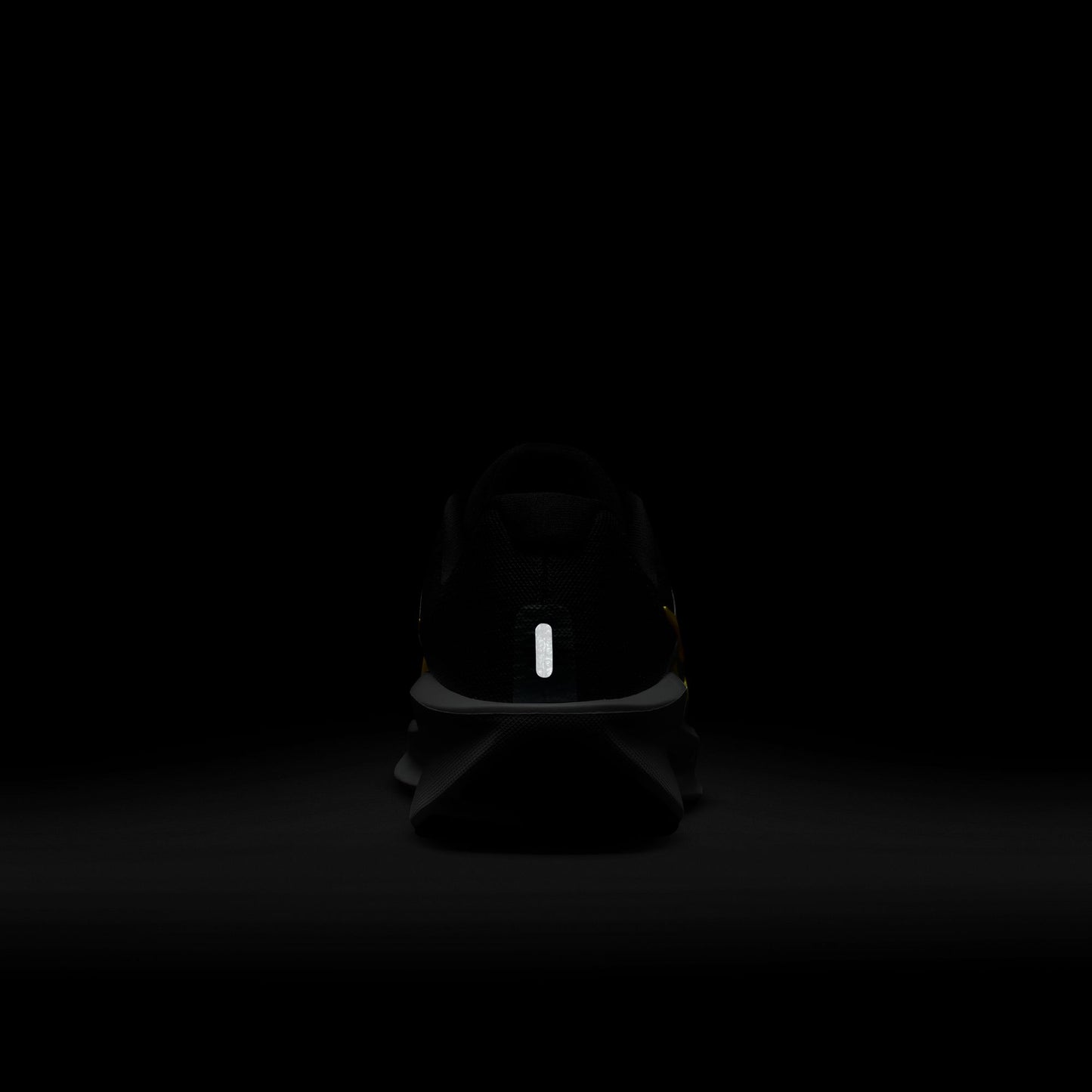 NIKE DOWNSHIFTER 13 10 / FD6454-800