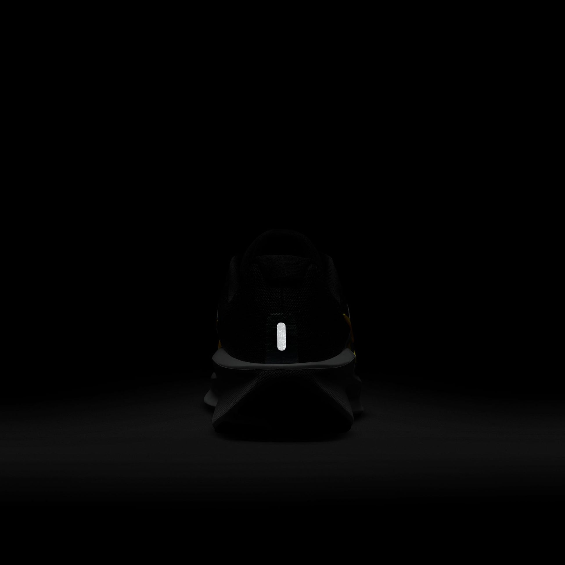 NIKE DOWNSHIFTER 13 10 / FD6454-800