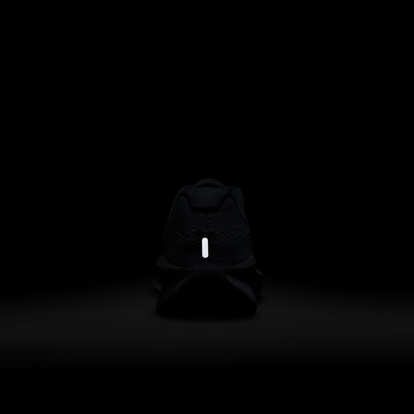 NIKE DOWNSHIFTER 13 10 / FD6454-800