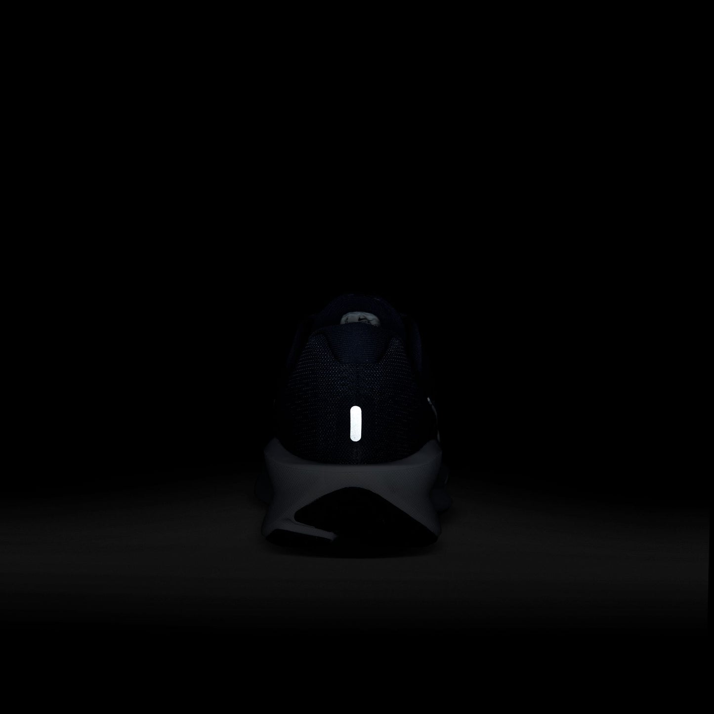 NIKE DOWNSHIFTER 13 10 / FD6454-800