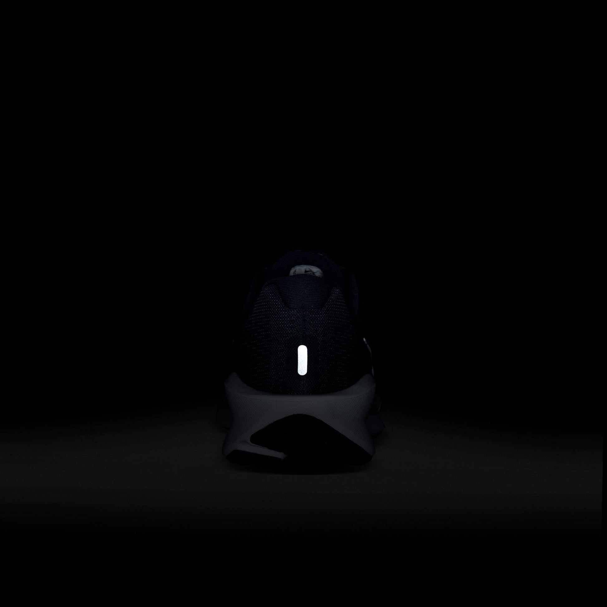 NIKE DOWNSHIFTER 13 10 / FD6454-800