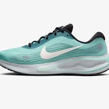 NIKE JOURNEY RUN 10 / GRNFRT/PALIVR