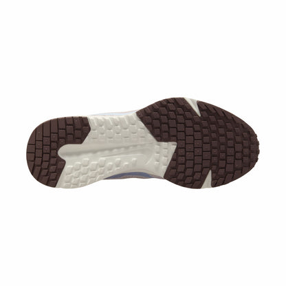 W NIKE RUN DEFY 9.5 / HM9593-102