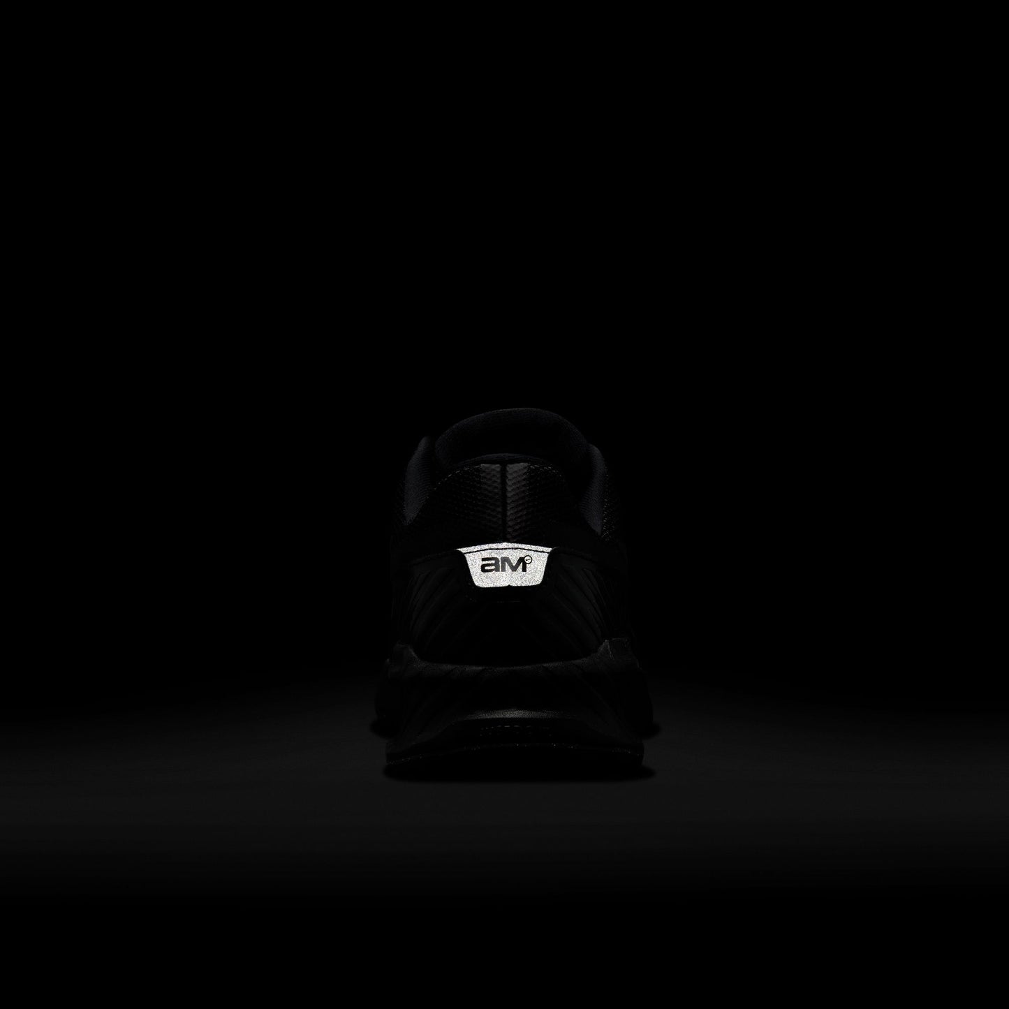 AIR MAX BIA 12 / IF2624-100